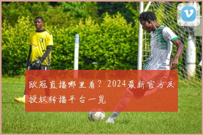 欧冠直播哪里看？2024最新官方及授权转播平台一览